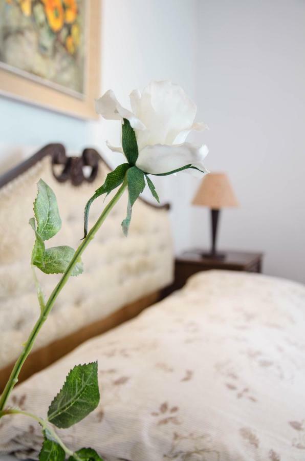 Penthouse Presernovo Nabrezje بيران المظهر الخارجي الصورة